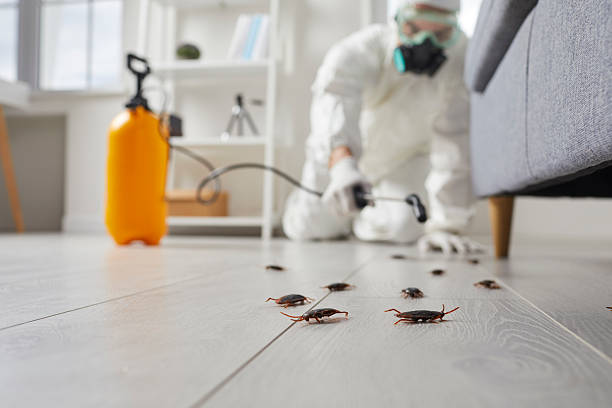 Commercial Kitchen Cockroach Control in Mauston